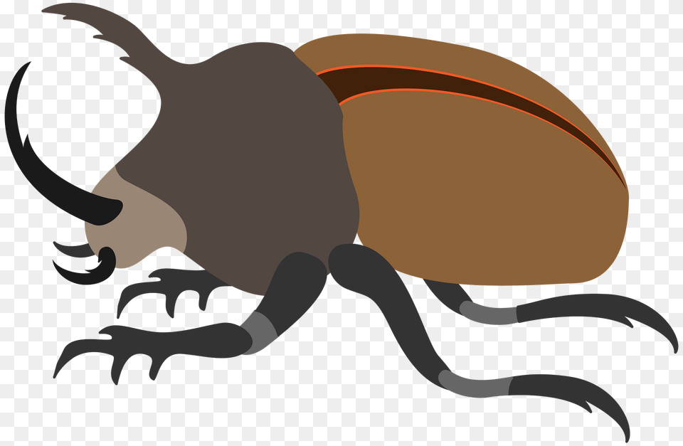 Bug Clipart, Animal, Dung Beetle, Insect, Invertebrate Free Transparent Png