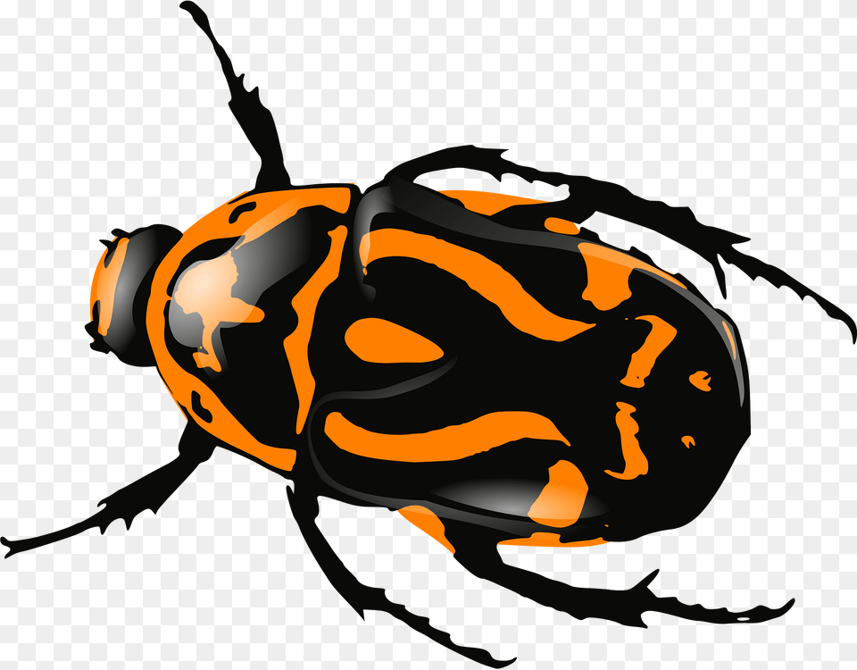 Bug Clipart, Animal, Fish, Sea Life, Shark Png