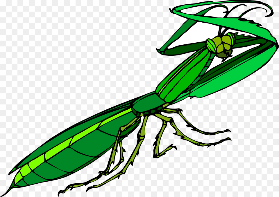 Bug Clipart, Animal, Insect, Invertebrate, Bee Free Png