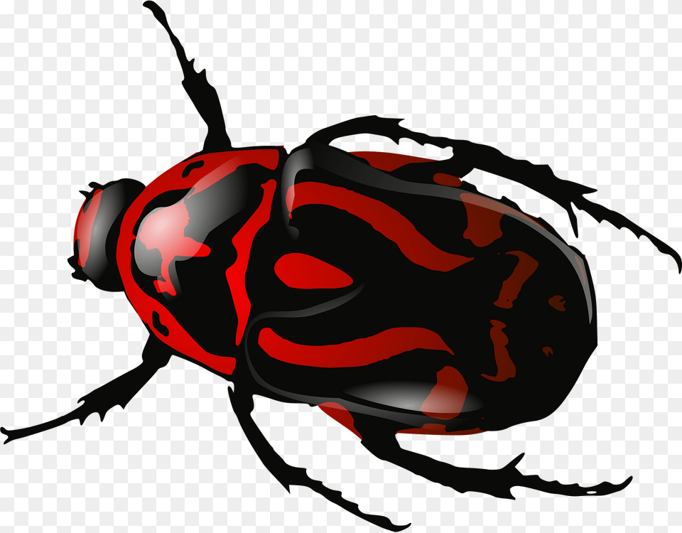 Bug Clipart, Animal, Person Free Transparent Png