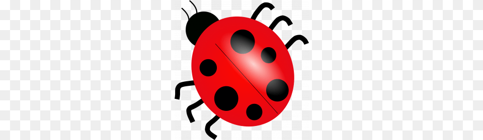 Bug Clipart Clip Art Images, Sphere Free Transparent Png