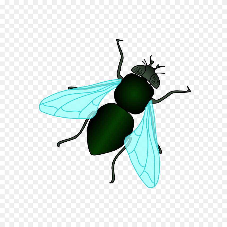 Bug Clipart House Fly, Animal, Insect, Invertebrate, Bee Free Transparent Png