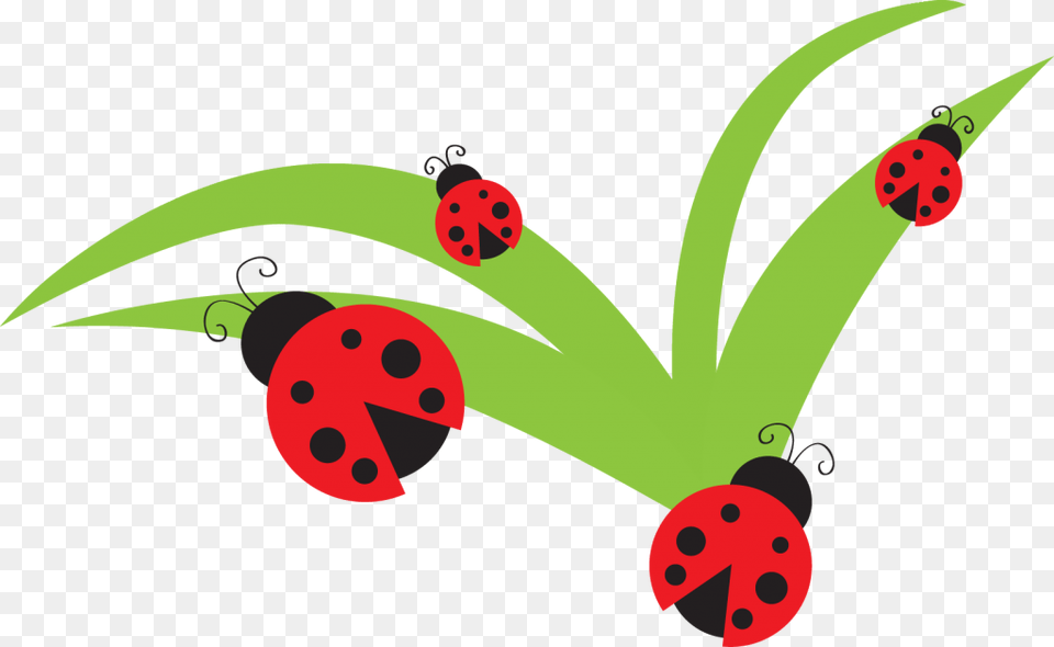 Bug Clipart Ladybug Lady Bug Clip Art Bug Flower Leaf Branch, Floral Design, Graphics, Pattern, Animal Png