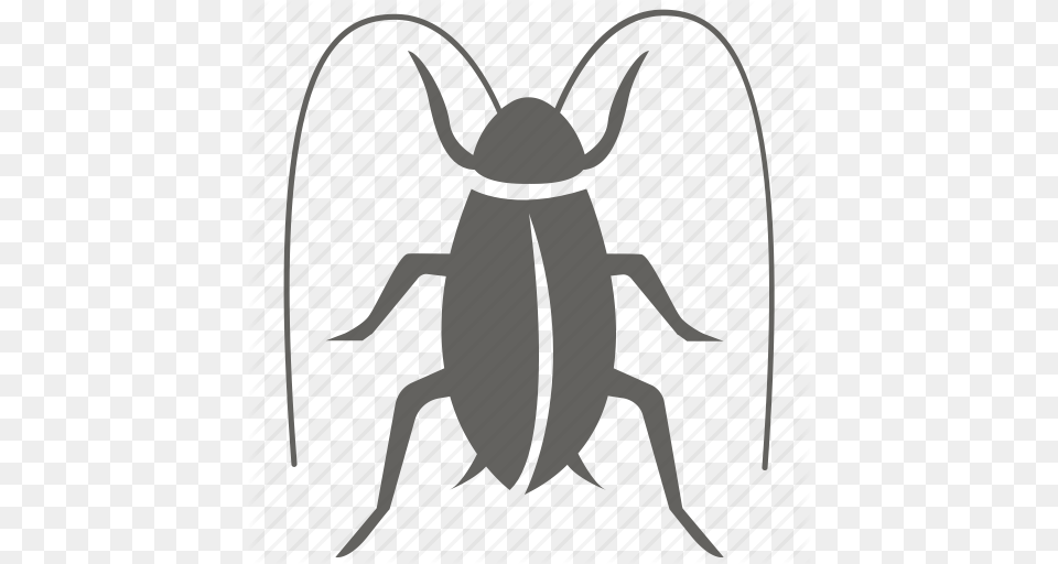Bug Cockroach Infestation Insect Pest Removal Roach Icon, Animal, Invertebrate, Antelope, Mammal Free Transparent Png