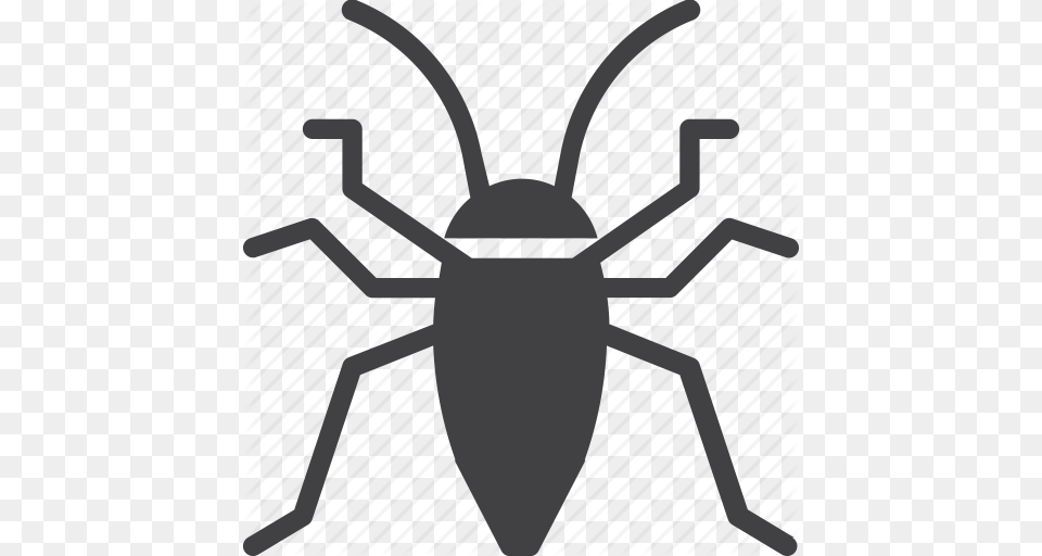 Bug Cockroach Insect Roach Icon, Animal, Bee, Invertebrate, Wasp Free Transparent Png