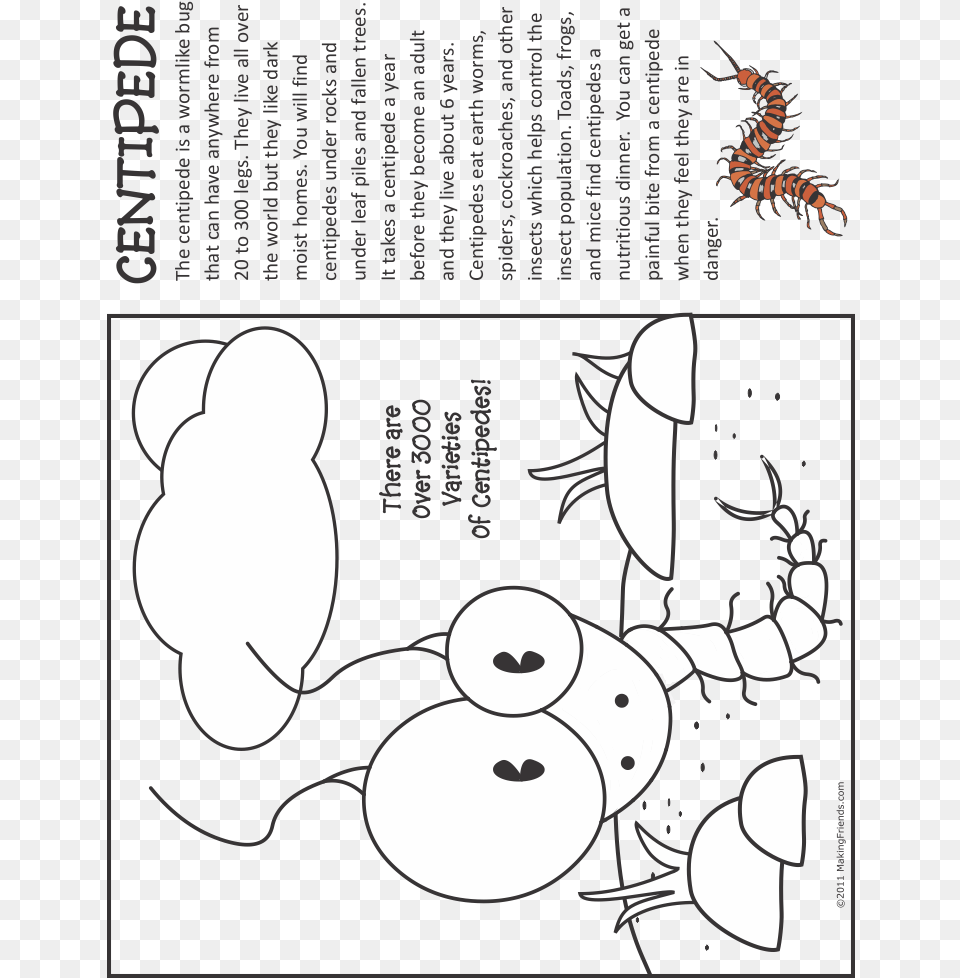 Bug Coloring, Book, Comics, Publication, Animal Free Png Download