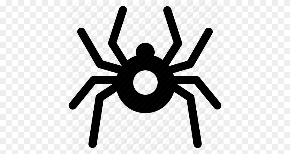 Bug Computer Virus Spider Virus Icon, Animal, Invertebrate Png Image