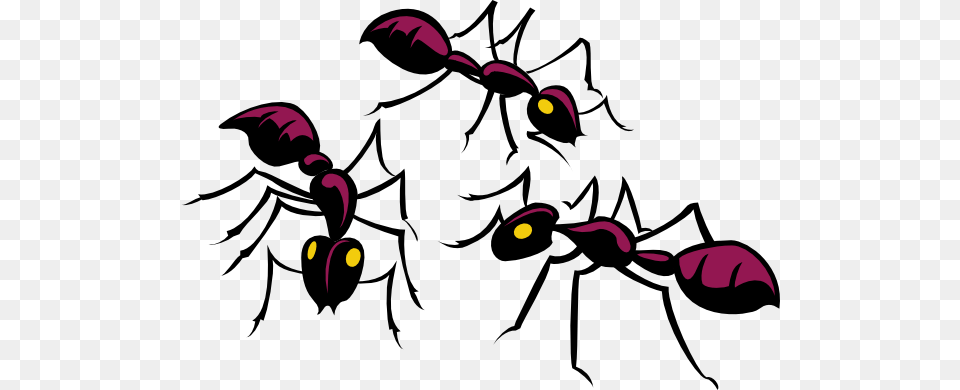 Bug Depot Termite Pest Control Serving Columbia Irmo Chapin, Animal, Ant, Insect, Invertebrate Free Transparent Png