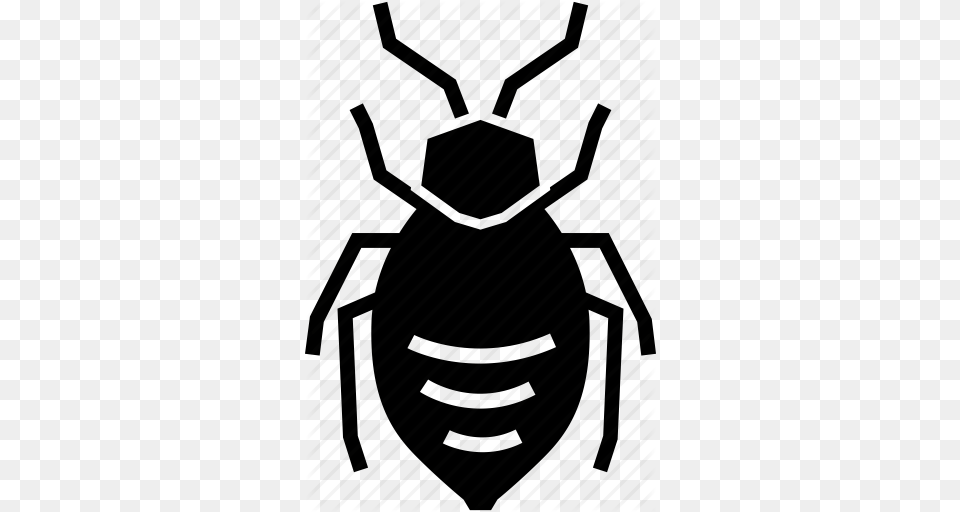 Bug Flea Tick Icon, Animal Free Png Download
