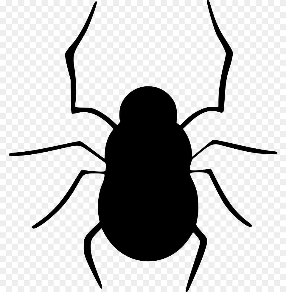 Bug Halloween Insect Spider Spiderweb Web Vector Graphics, Stencil, Silhouette, Animal, Fish Png Image