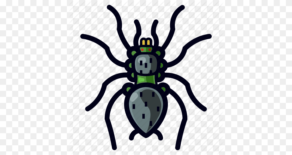 Bug Halloween Insect Spider Tarantula Icon, Animal, Bee, Invertebrate, Wasp Png