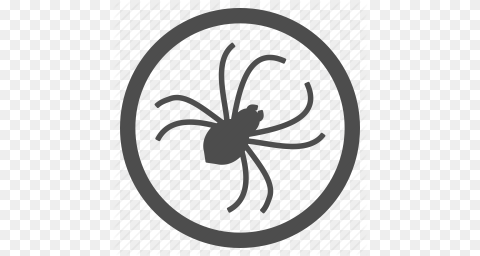 Bug Infection Insect Parasite Pest Spider Web Icon, Animal, Invertebrate Png Image