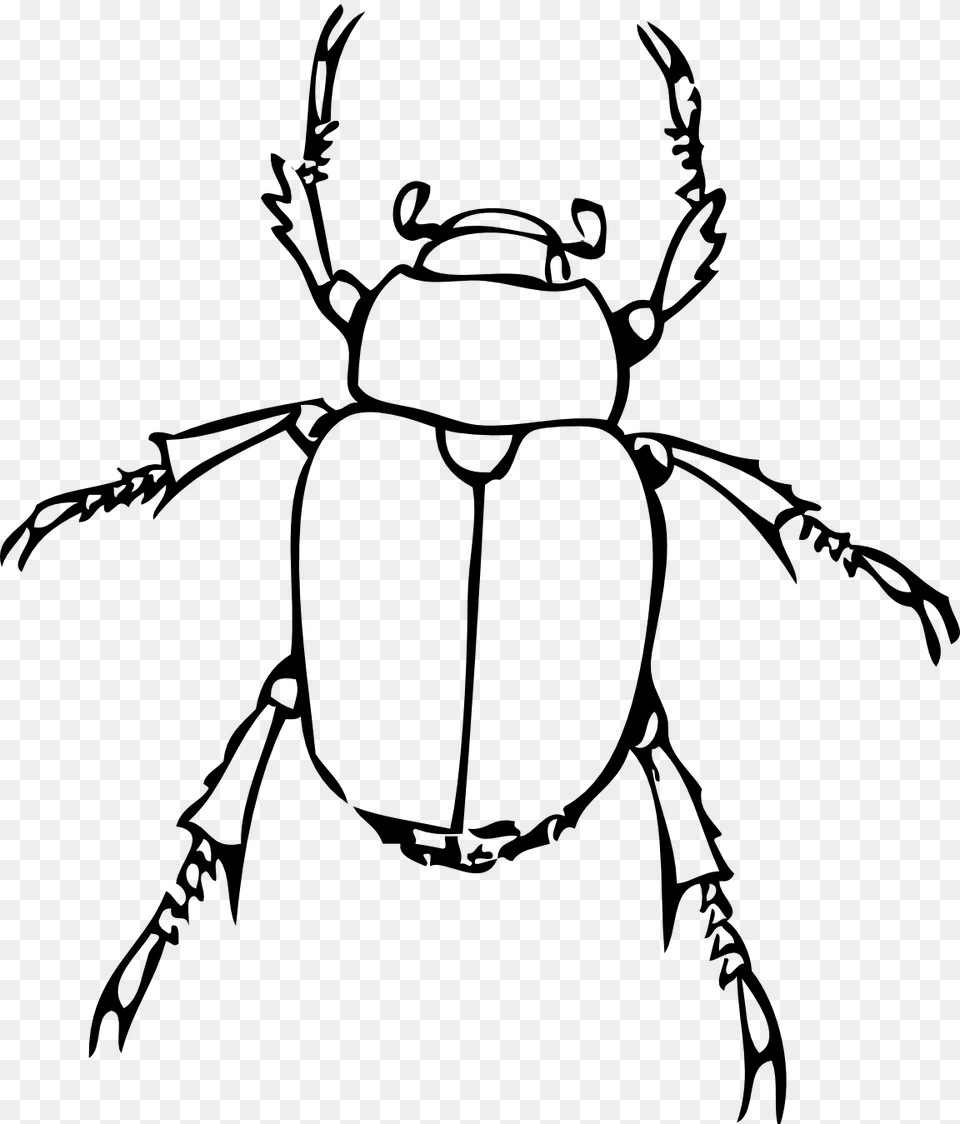 Bug Line Drawing Line Drawings Printables Art, Animal, Person, Dung Beetle, Insect Free Transparent Png