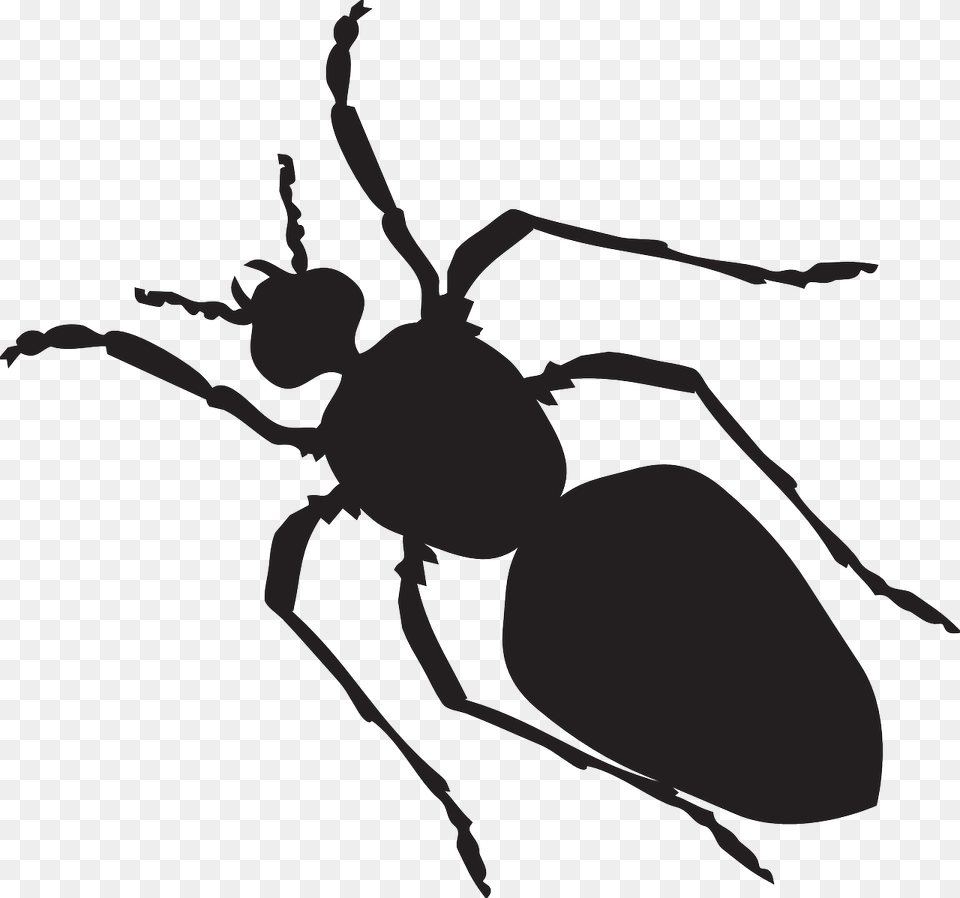 Bug Silhouette Clip Art, Animal, Insect, Invertebrate, Ant Free Transparent Png