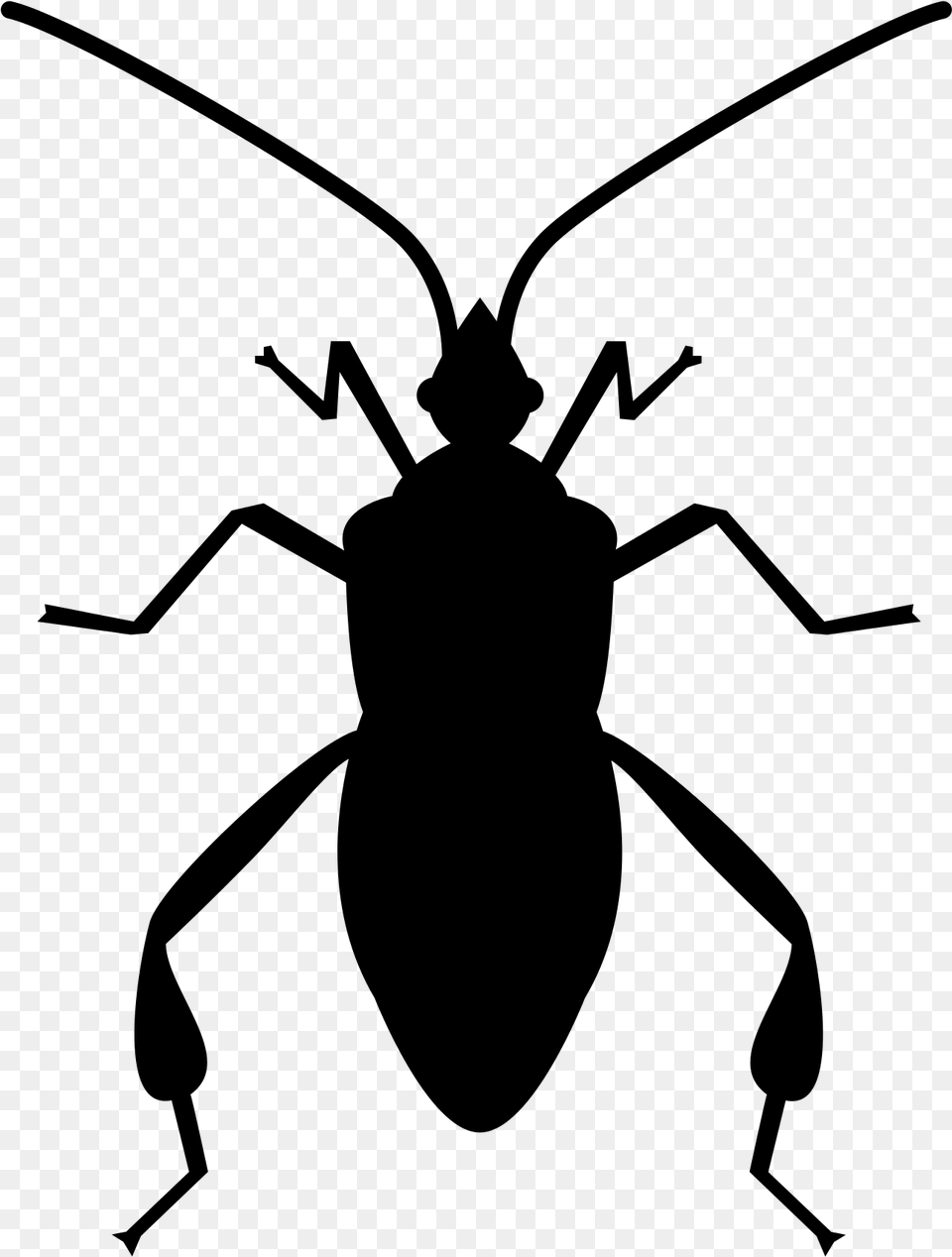 Bug Svg Vector Bug, Gray Free Transparent Png