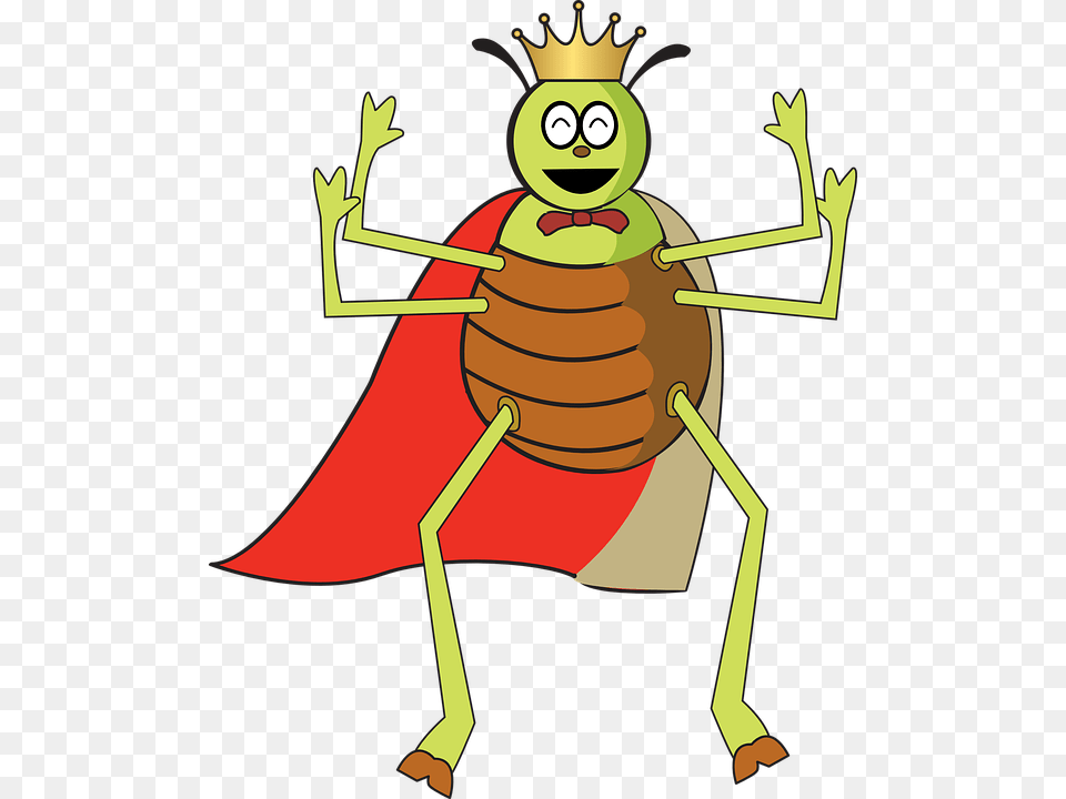 Bug Wearing A Crown, Animal, Baby, Person Png