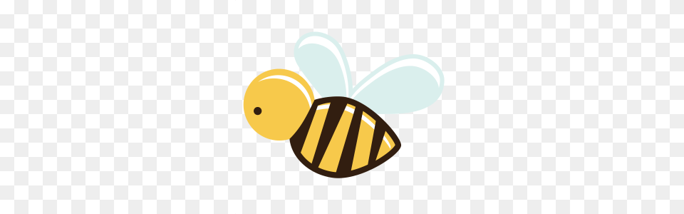 Bugs, Animal, Bee, Honey Bee, Insect Png Image