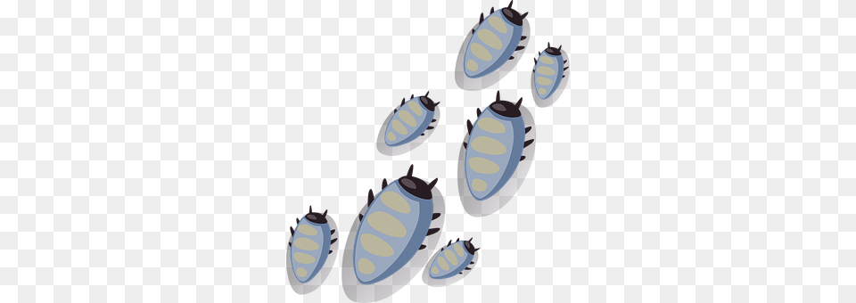 Bugs Lighting, Disk Free Png Download