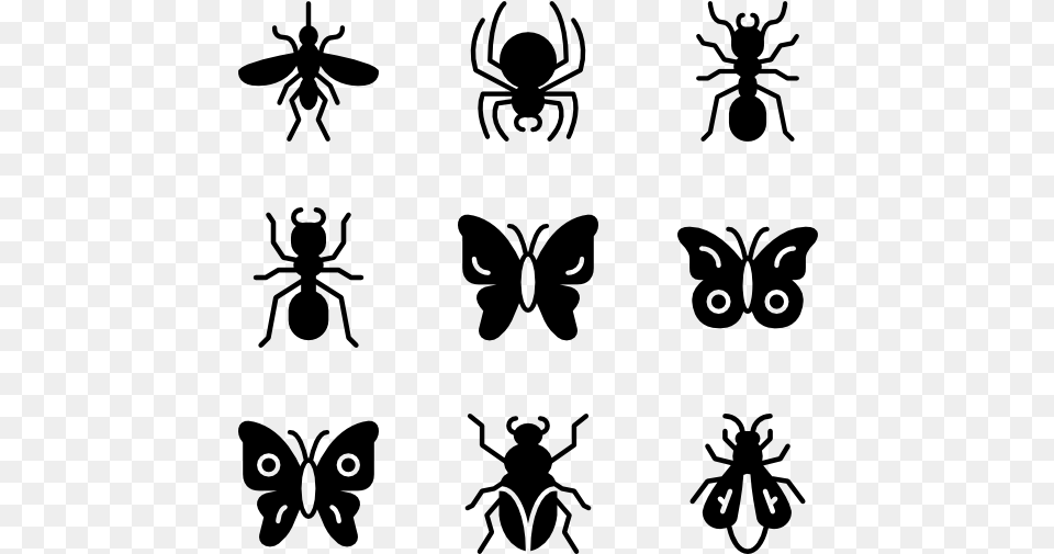 Bugs Amp Insects Insects Icon, Gray Free Png