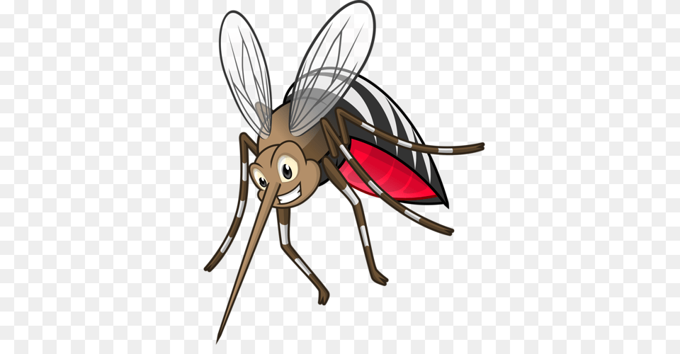 Bugs And Insects, Animal, Insect, Invertebrate, Mosquito Png