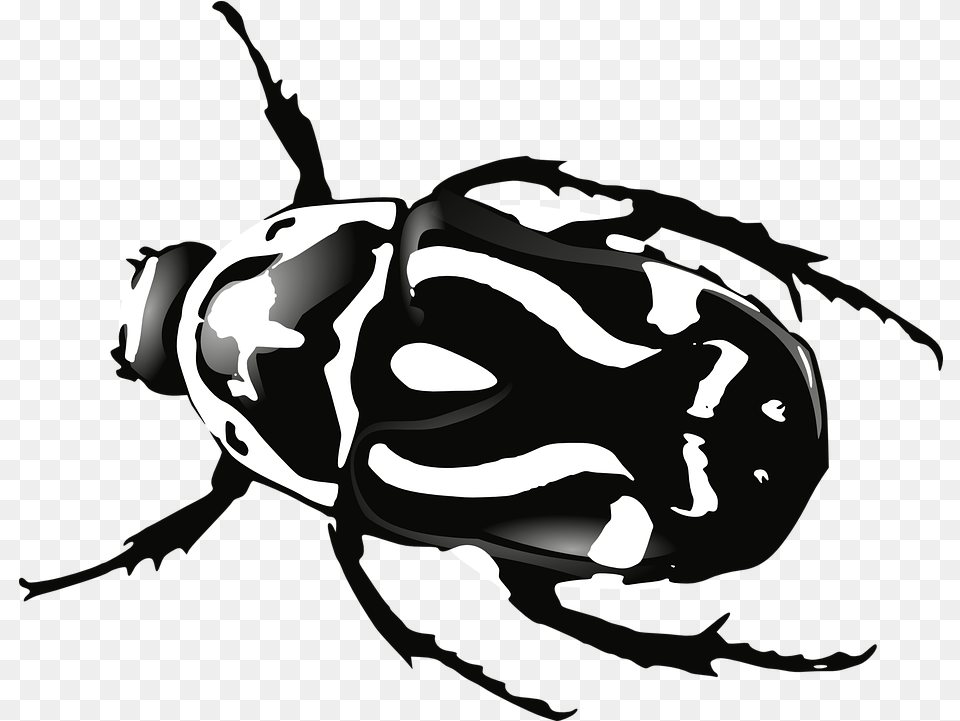 Bugs Black And White Transparent Beetle Black And White, Animal, Bee, Insect, Invertebrate Png Image