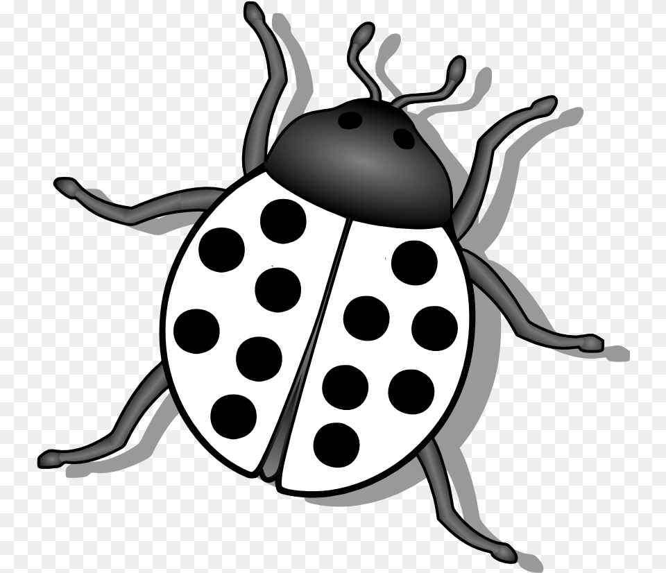 Bugs Black And White Transparent Bug Black White, Animal Png