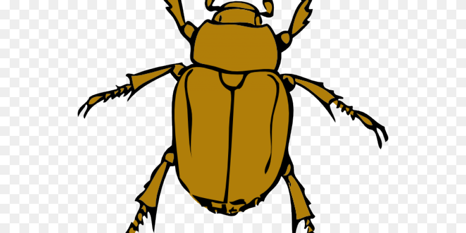 Bugs Clipart, Person, Animal, Dung Beetle, Insect Png