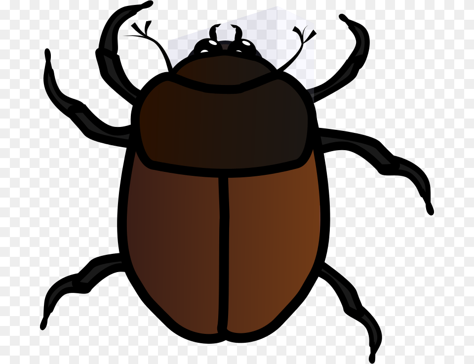 Bugs Clipart Gallery Images, Animal, Dung Beetle, Insect, Invertebrate Free Png