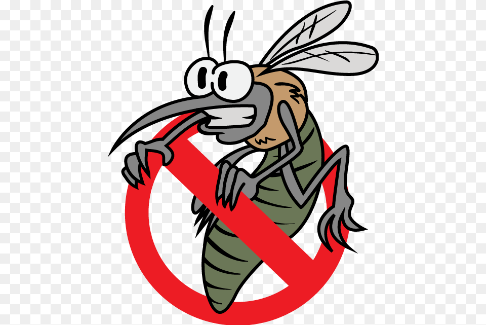 Bugs Disease, Animal, Bee, Insect, Invertebrate Free Png