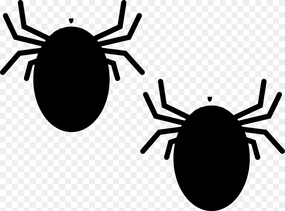 Bugs Insect Nature Black Crawling Bedbug Antenna Ticks Clipart, Gray Free Transparent Png