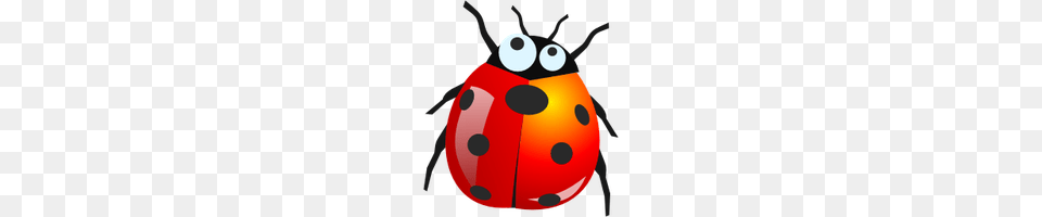 Bugs Photo Images And Clipart Freepngimg, Animal, Nature, Outdoors, Snow Free Png