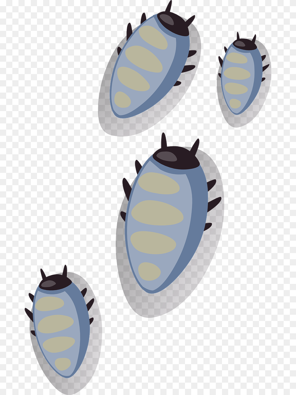 Bugs Svg Png