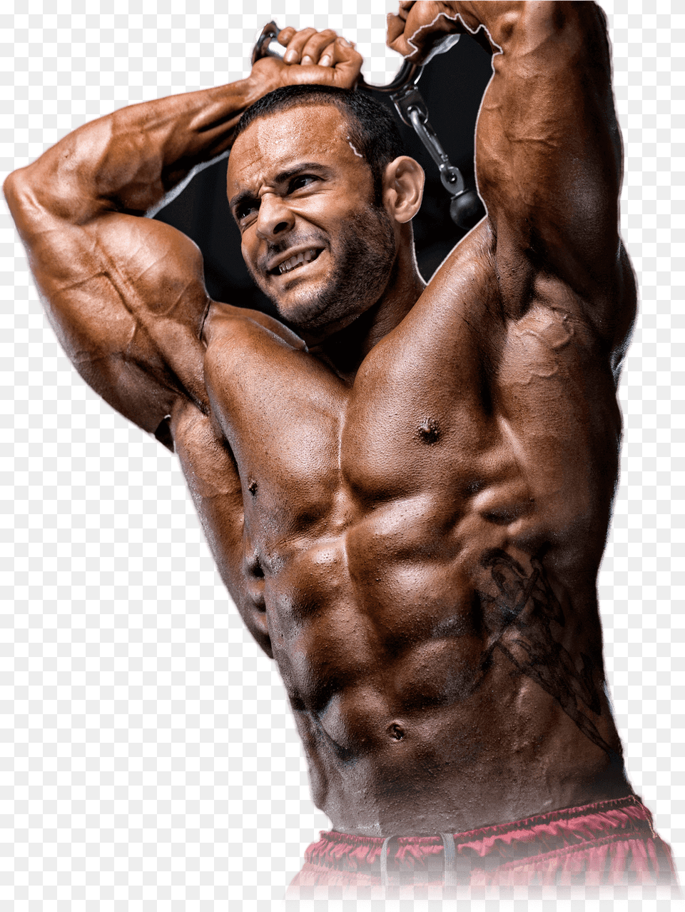 Build Muscle Body Builder Work Our, Adult, Person, Man, Male Png