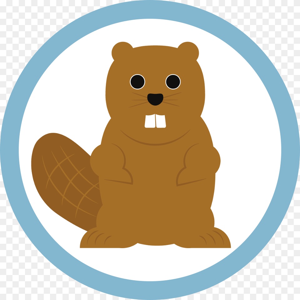 Build Web Apps With Beaver Js Diyactive, Animal, Bear, Mammal, Wildlife Free Png