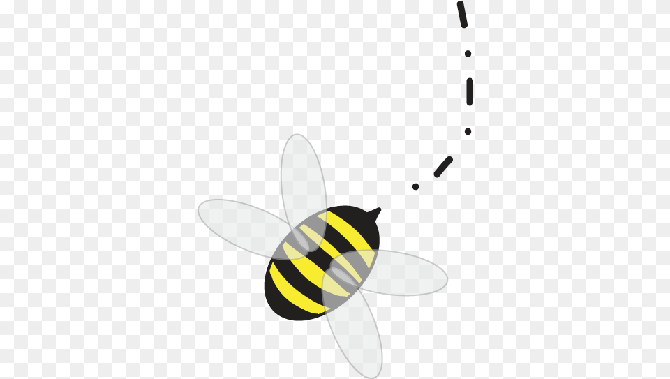 Builder Bees Honey Bees, Animal, Bee, Insect, Invertebrate Free Transparent Png