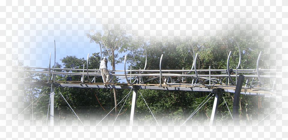 Building A Customized Mountain Coaster As A Jamaican Tree, Person, Garden, Nature, Outdoors Png Image