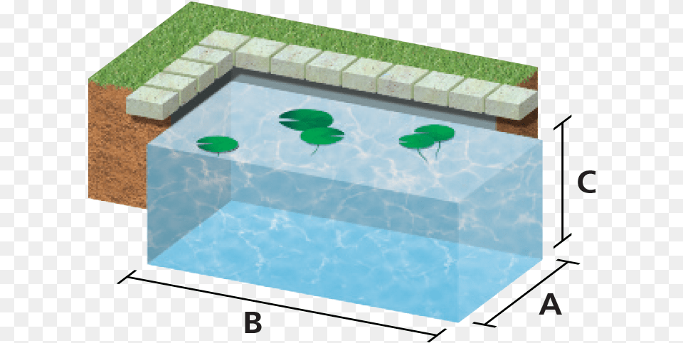 Building A Pond Hozelock Water Garden, Nature, Outdoors, Pool, Swimming Pool Free Transparent Png