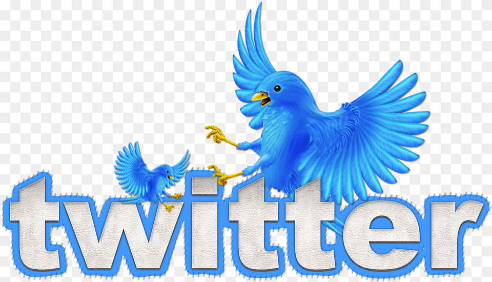 Building Your Animated Twitter Bird, Animal, Parrot Free Png Download