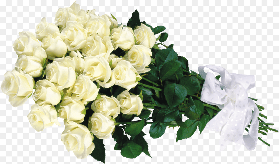 Buket Belih Roz Bunch Of White Roses, Flower, Flower Arrangement, Flower Bouquet, Plant Free Png