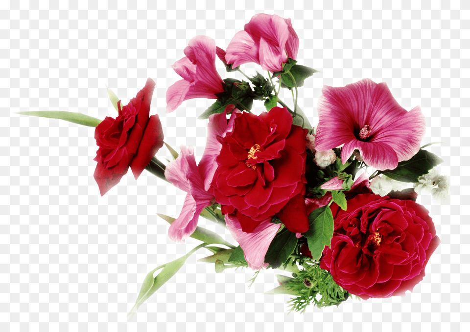 Buket Cvetov Klipart Flower Wallpaper For Laptop Hd, Flower Arrangement, Flower Bouquet, Plant, Geranium Free Png