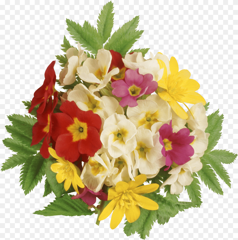 Buketi, Flower, Flower Arrangement, Flower Bouquet, Plant Free Transparent Png
