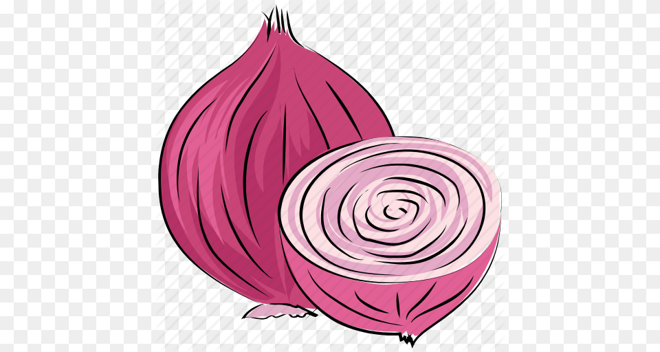 Bulb Onion Common Onion Diet Food Onion Vegetable Icon, Produce, Plant Png Image