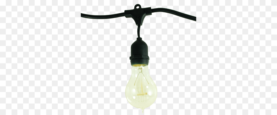 Bulbrite, Light, Lightbulb Free Png