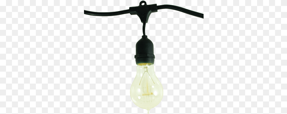 Bulbrite Lighting Creates Beautiful Living Incandescent Light Bulb, Lightbulb Png Image