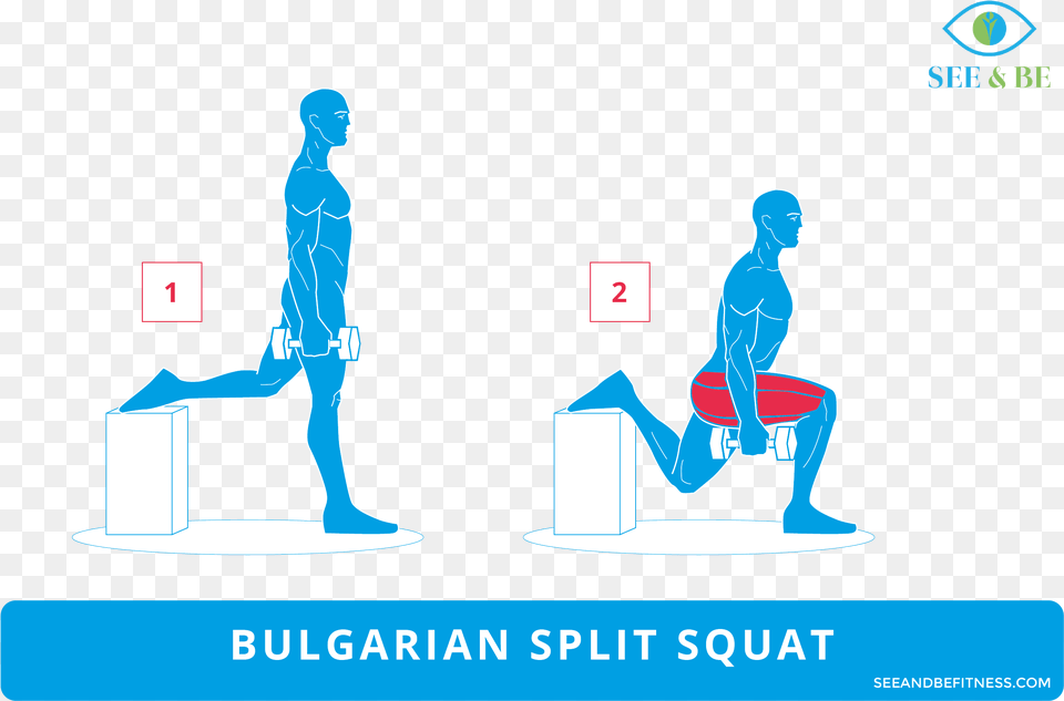 Bulgarian Split Squat See Amp Be Fitness Static Cling Pike Push Ups Muscles, Adult, Male, Man, Person Free Transparent Png