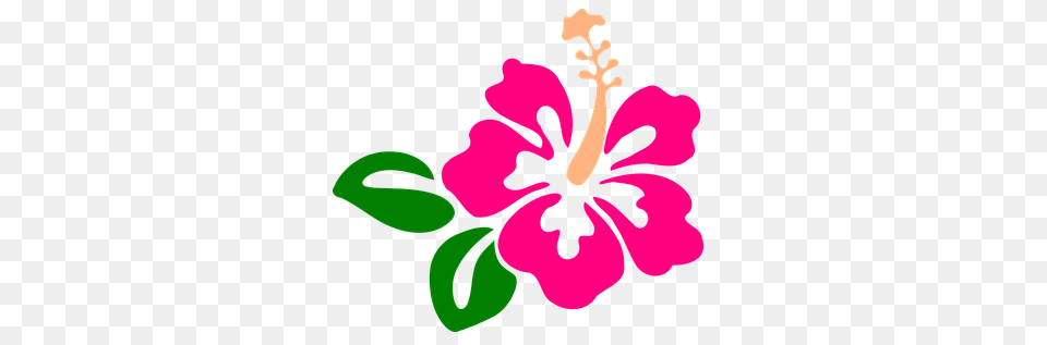 Bulimba Uke Fest, Flower, Plant, Hibiscus Free Png