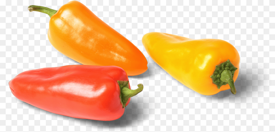 Bulk Pure Flavor Aurora Bites Red Yellow And Orange Sweet Bite Peppers, Bell Pepper, Food, Pepper, Plant Free Transparent Png