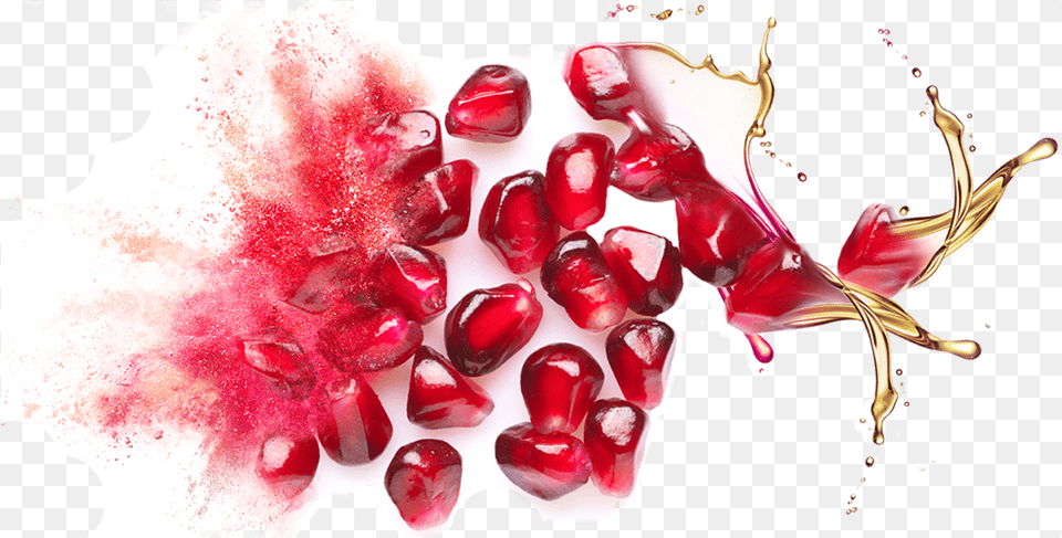 Bulk Supply Amp Manufacture Of Pomegranate Seed Oil Amp Pomegranate Seed Oil, Food, Fruit, Plant, Produce Free Png