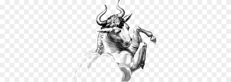 Bull Gray Free Transparent Png