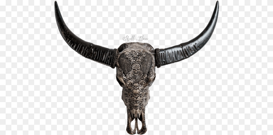 Bull, Animal, Mammal, Cattle, Longhorn Png Image